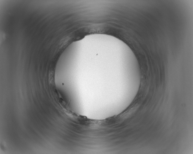 X0000059250096200511111652