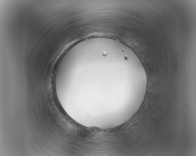 X0000059250098200511111652