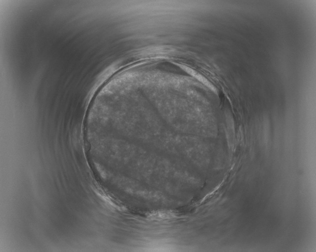 X0000059250099200511111652