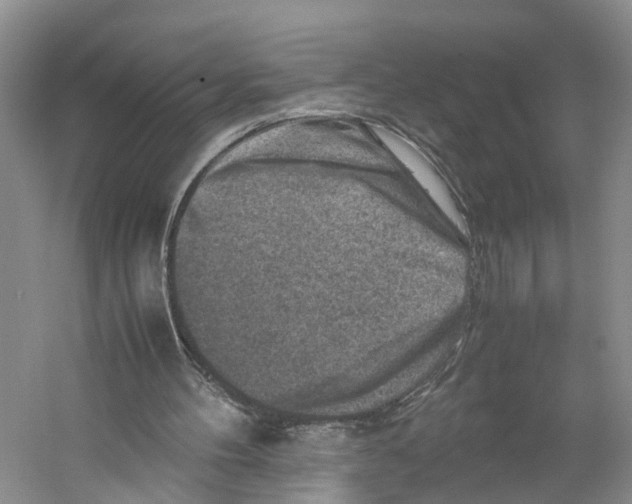 X0000059250100200511111651