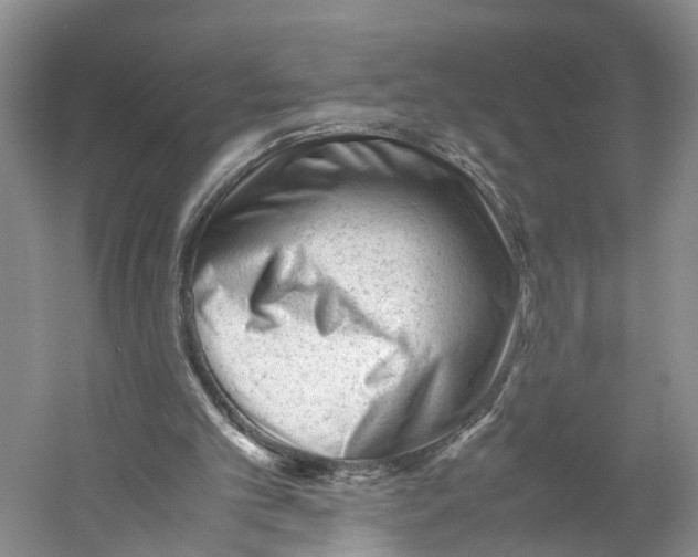 X0000059250101200511111651