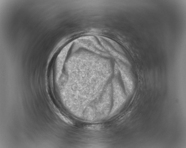 X0000059250102200511111651