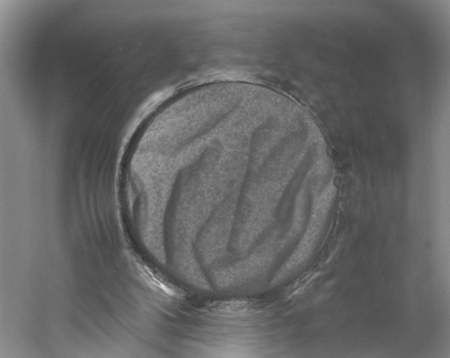 X0000059250104200511111651