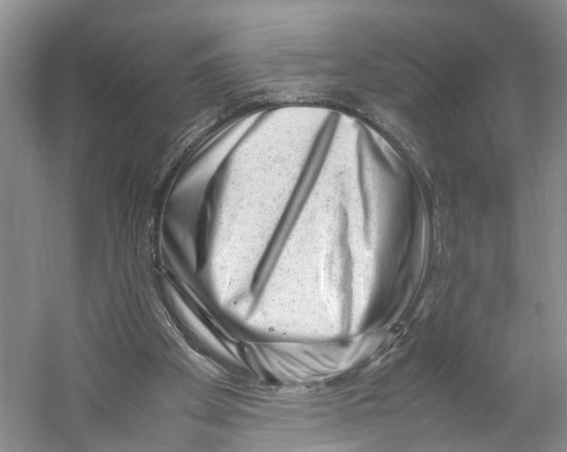 X0000059250105200511111651