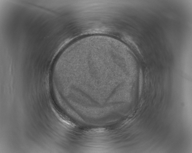 X0000059250108200511111651