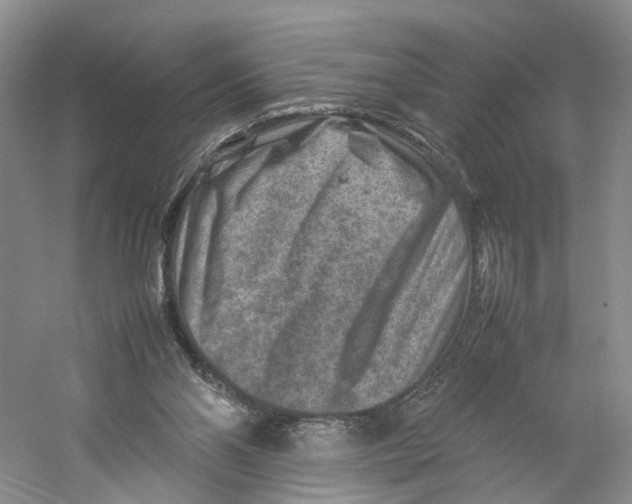 X0000059250110200511111651