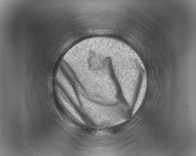 X0000059250111200511111651