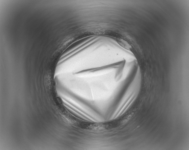 X0000059250113200511111651