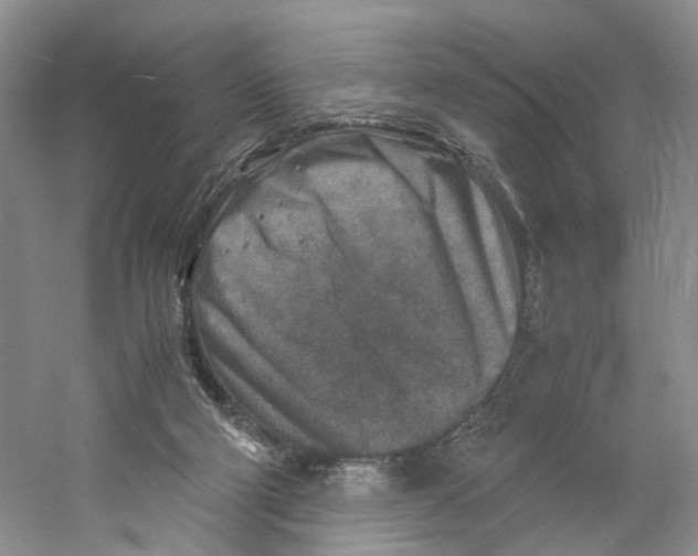 X0000059250114200511111651