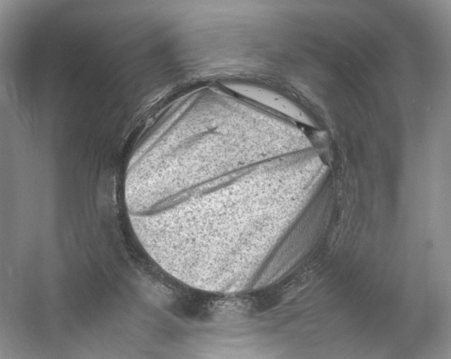 X0000059250115200511111651