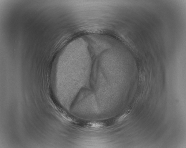 X0000059250117200511111651