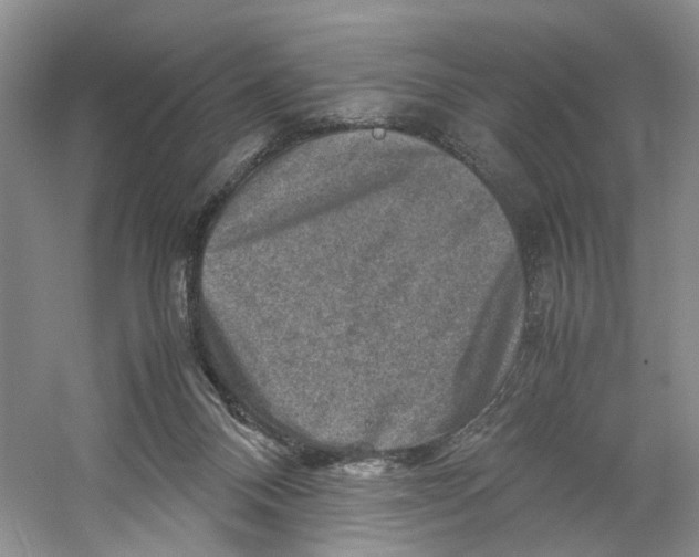 X0000059250120200511111651