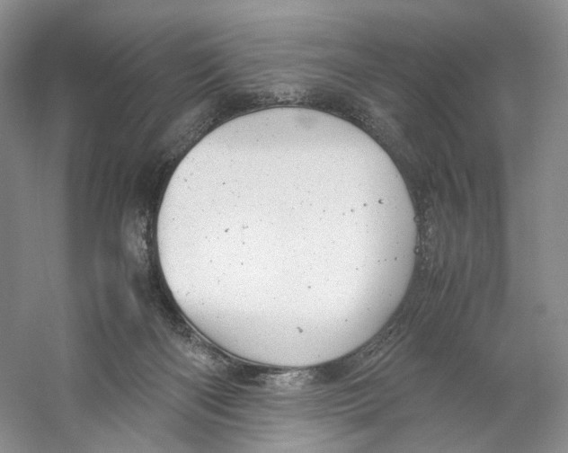 X0000059250122200511111651