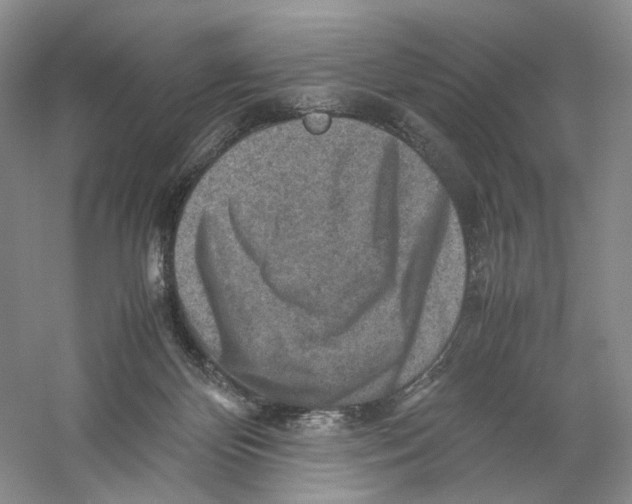 X0000059250124200511111651