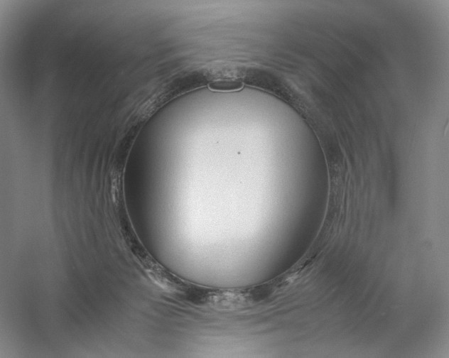 X0000059250125200511111651