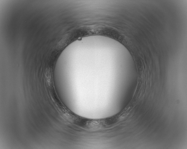 X0000059250129200511111651