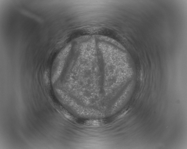 X0000059250131200511111651