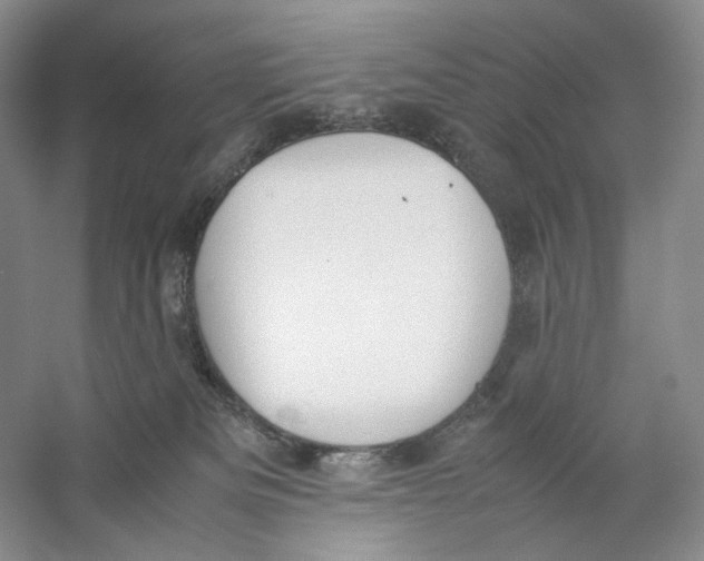 X0000059250133200511111651