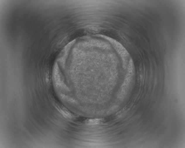 X0000059250134200511111651