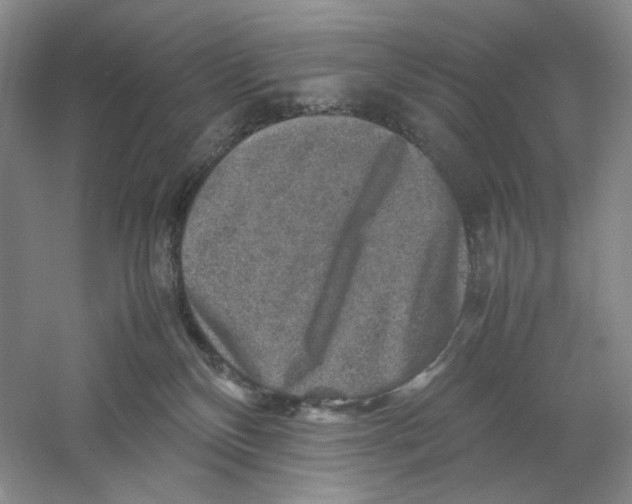 X0000059250136200511111651