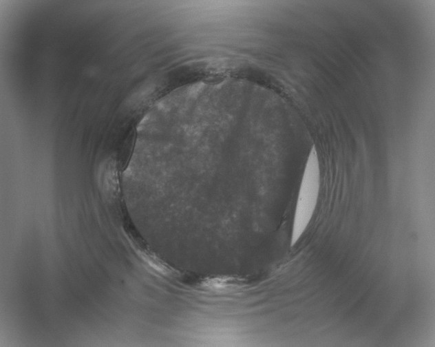 X0000059250137200511111651