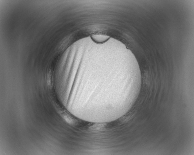 X0000059250138200511111651