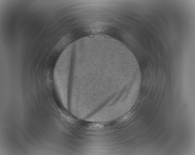 X0000059250140200511111651