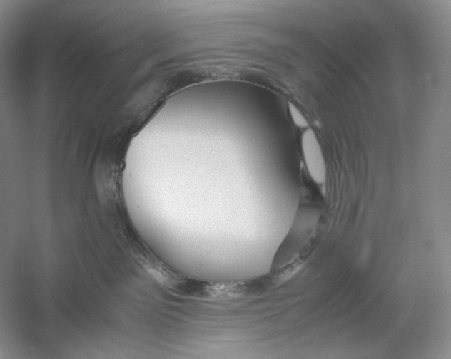 X0000059250141200511111651