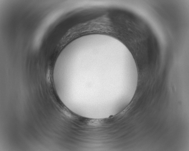 X0000059250142200511111651