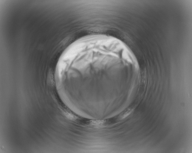 X0000059250143200511111651