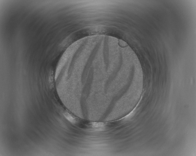 X0000059250144200511111651