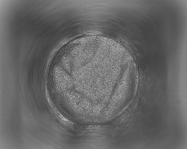 X0000059250145200511111650