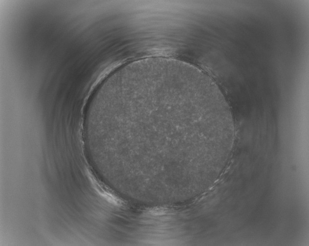 X0000059250146200511111650