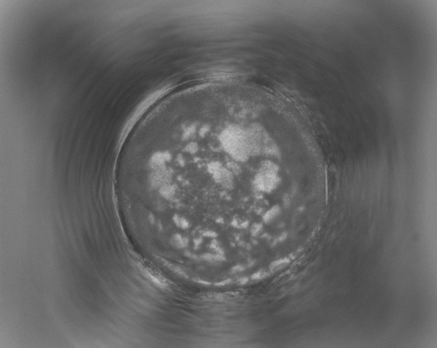 X0000059250147200511111650