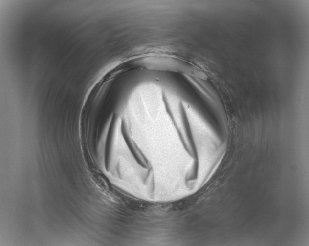 X0000059250148200511111650