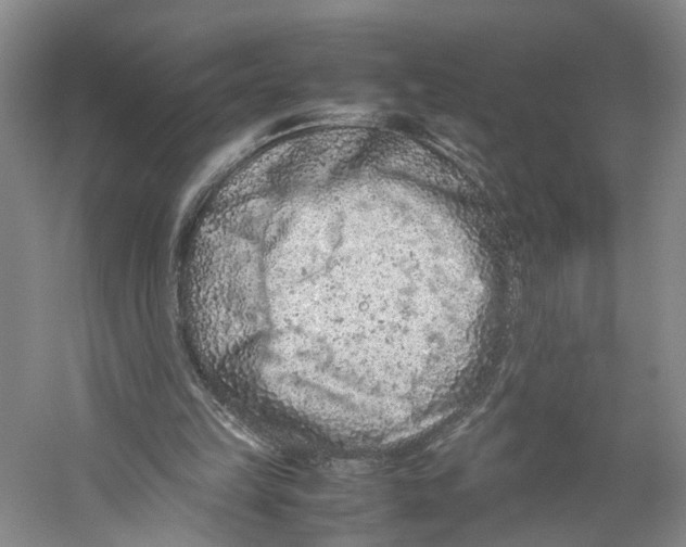 X0000059250149200511111650