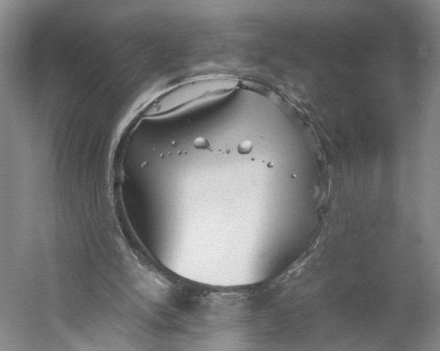 X0000059250150200511111650