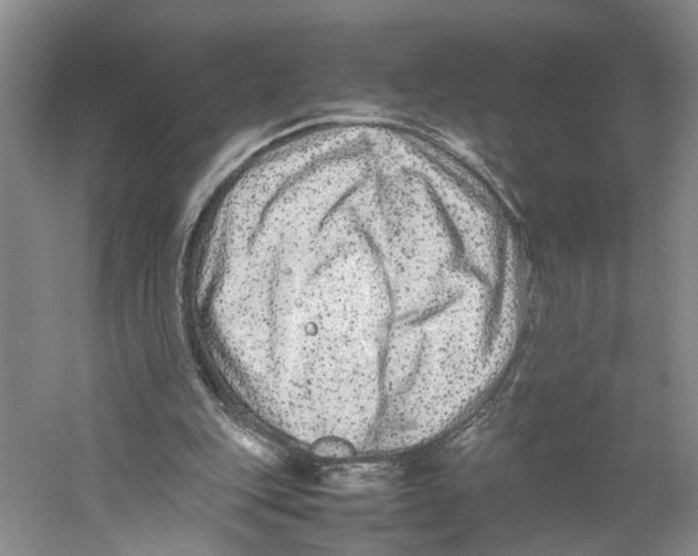 X0000059250151200511111650