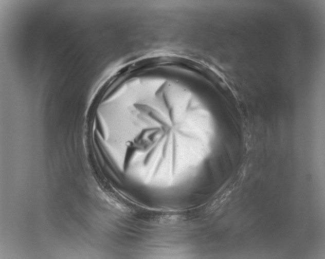 X0000059250152200511111650