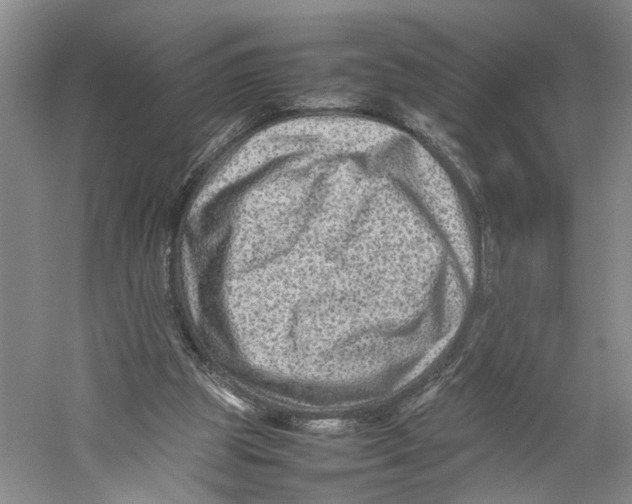 X0000059250153200511111650