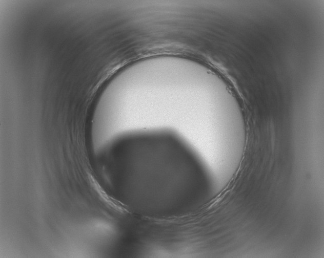 X0000059250154200511111650