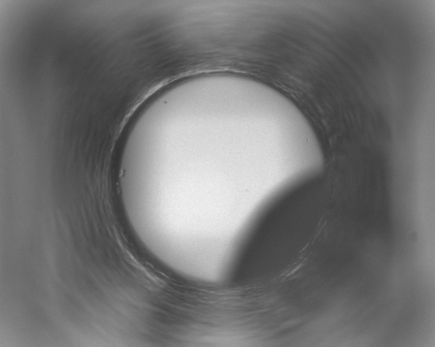 X0000059250156200511111650