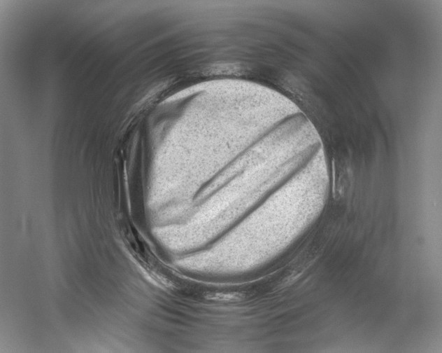 X0000059250157200511111650