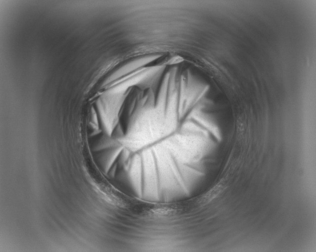 X0000059250158200511111650