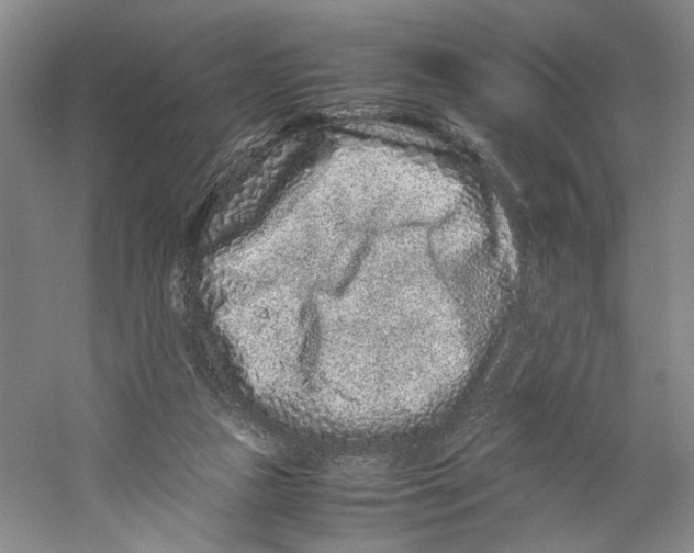 X0000059250161200511111650