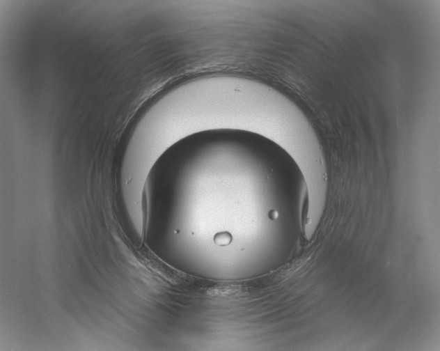 X0000059250164200511111650