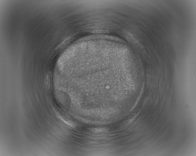 X0000059250165200511111650