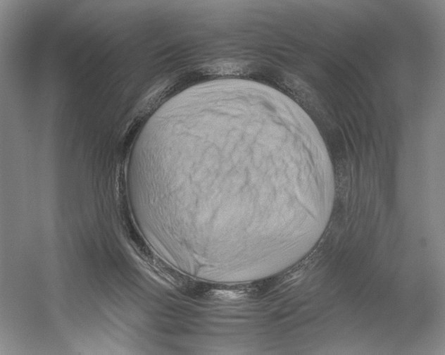 X0000059250167200511111650