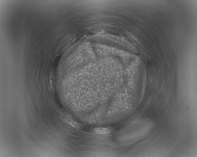 X0000059250169200511111650