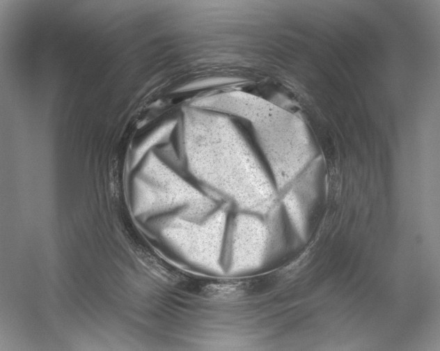 X0000059250170200511111650